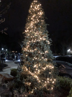 Baptist Hosts Annual Tree Lighting and Memorial Ceremony in December