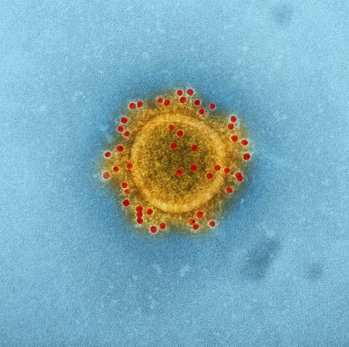 Should You Be Concerned About the Coronavirus in the Mid-South?